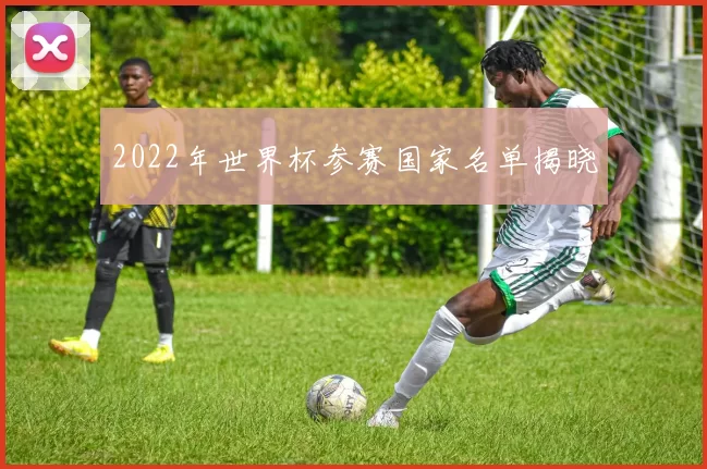 2022年世界杯参赛国家名单揭晓