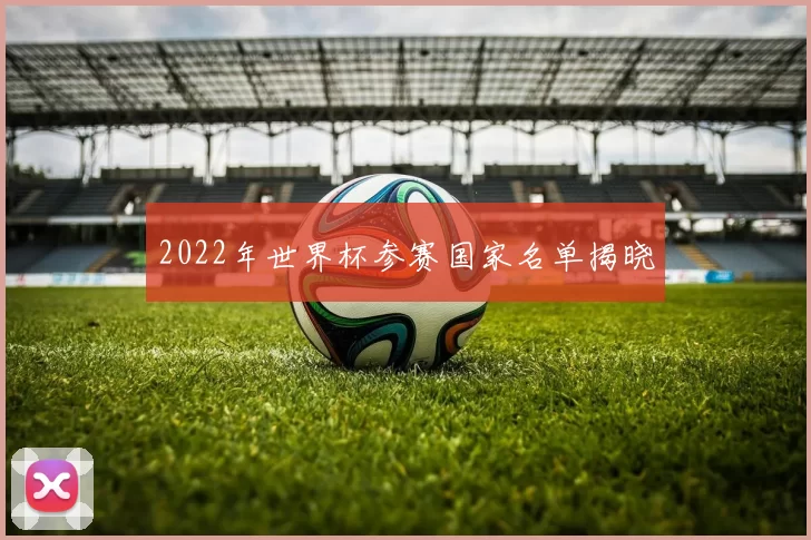 2022年世界杯参赛国家名单揭晓