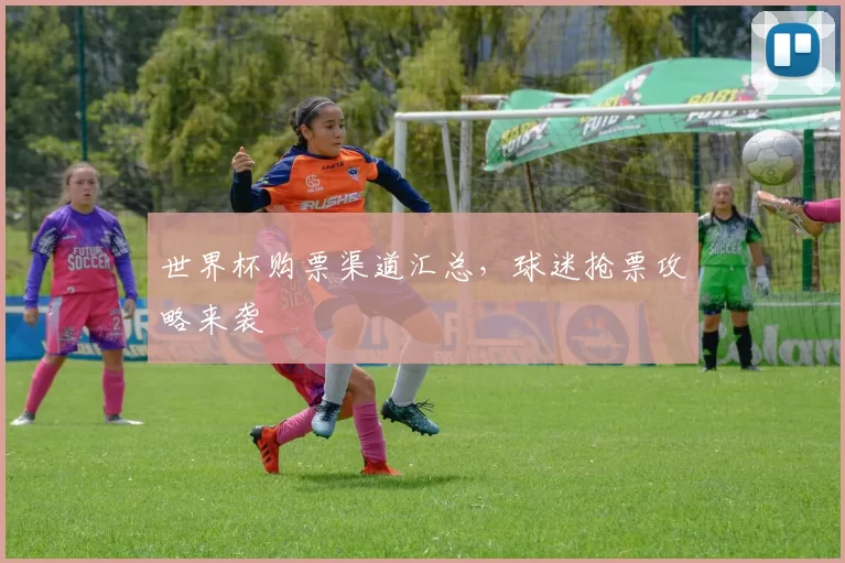 世界杯购票渠道汇总，球迷抢票攻略来袭