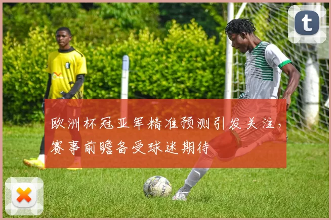 欧洲杯冠亚军精准预测引发关注,赛事前瞻备受球迷期待